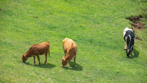 全国十大宜居城市排行榜出炉