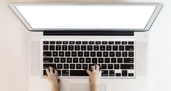 c盘明明没东西却显示满了