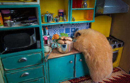 肥皂剧是什么意思