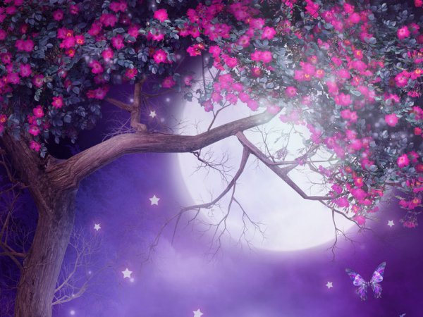 唐代花间派的鼻祖是谁