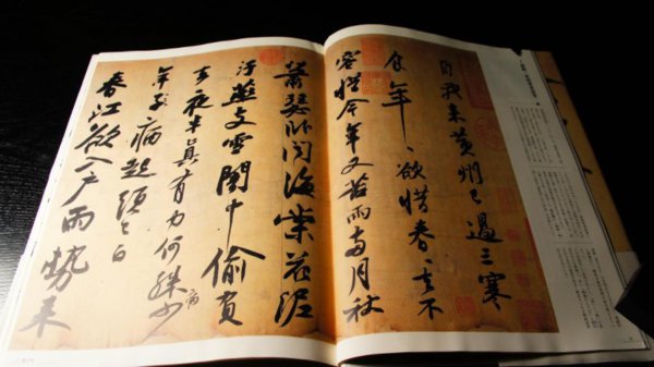 蔡京是好的还是坏的