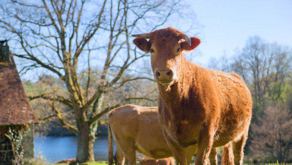 八卦中的坤是什么方位