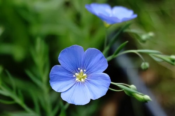 男人消失一段时间又联系你说明什么