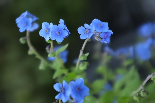 男人消失一段时间又联系你说明什么