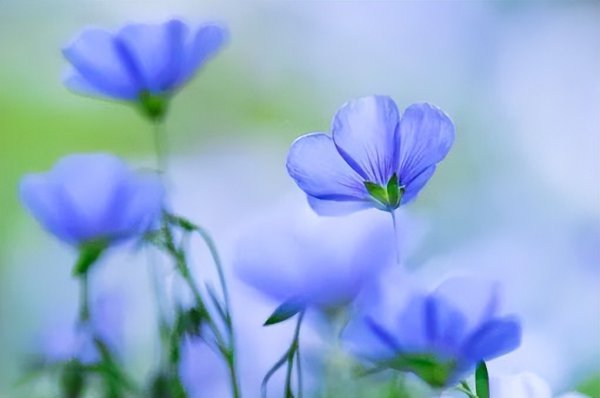 男人消失一段时间又联系你说明什么