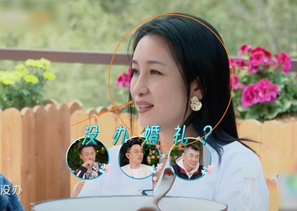 秦海璐王新军取消婚礼的原因