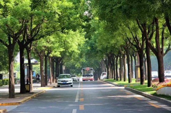 温带季风气候特点及分布地区