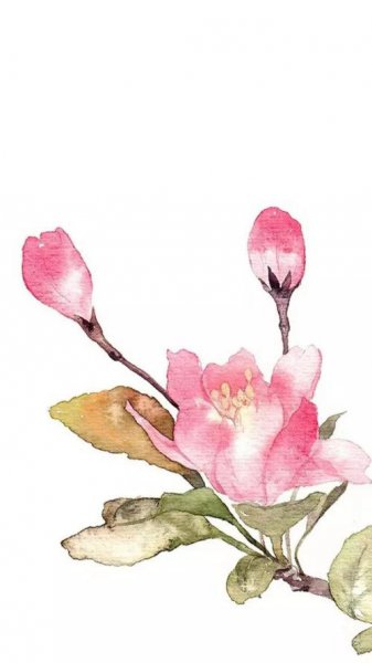 解释投桃报李意思是什么