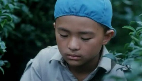 鲁冰花歌曲表达什么感情