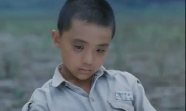 鲁冰花歌曲表达什么感情