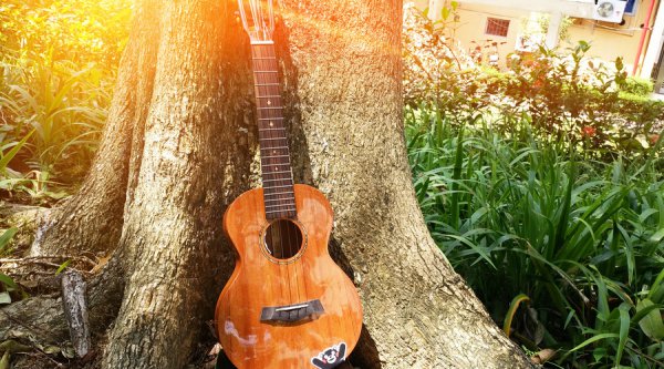 聪明的女人是狠心对付婆家