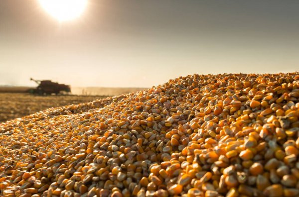 户口和父母分开的利弊