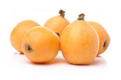 枇杷什么时候成熟采摘 全国不同地区枇杷的成熟时间