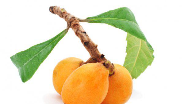 枇杷什么时候成熟采摘