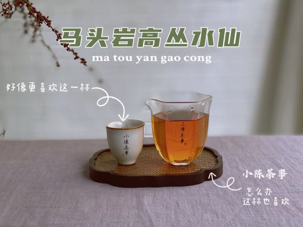 泡茶水温多少度合适