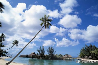 双鱼座跟哪个星座最配合得来 三大星座治得住双鱼星座