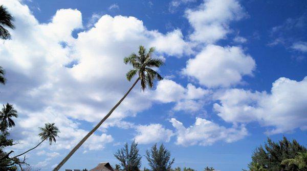 双鱼座跟哪个星座最配合得来