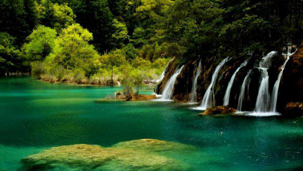 双鱼座跟哪个星座最配合得来