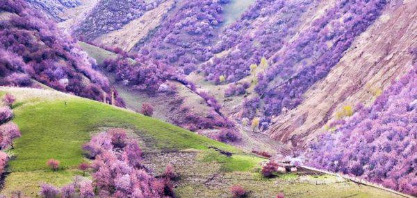 双鱼座跟哪个星座最配合得来