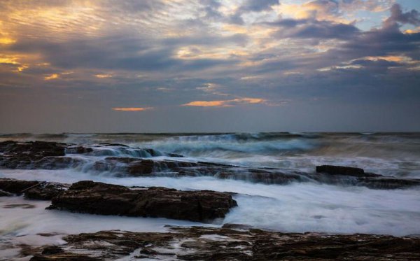 羽扇纶巾指的是谁