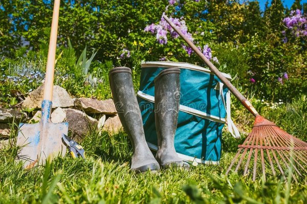 园艺技术专业主要学什么