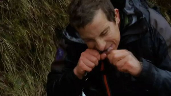 蝙蝠是益虫还是害虫