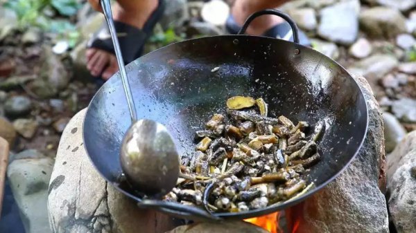 蝙蝠是益虫还是害虫