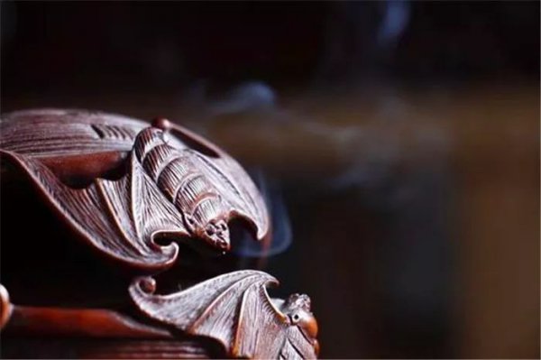 蝙蝠是益虫还是害虫