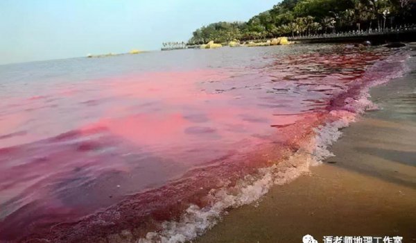 风暴潮与海啸的区别与联系