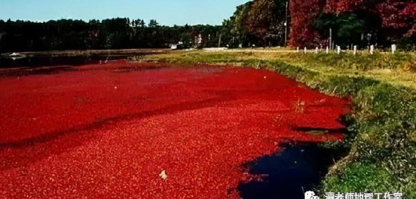 风暴潮与海啸的区别与联系