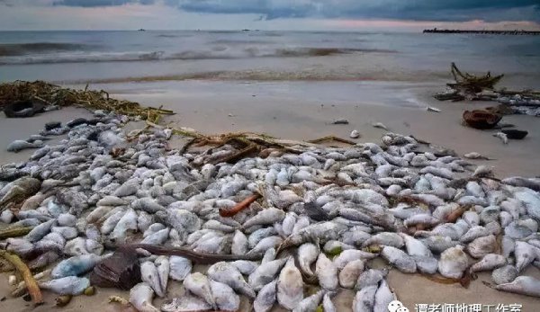 风暴潮与海啸的区别与联系