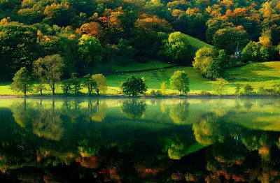 世界的统一性在于它的什么 什么是世界的物质统一性