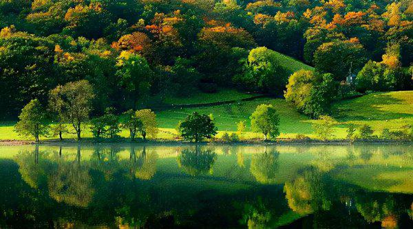 世界的统一性在于它的什么