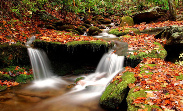 渣男玩不过的星座女