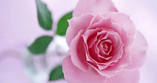 追天秤女3招搞定