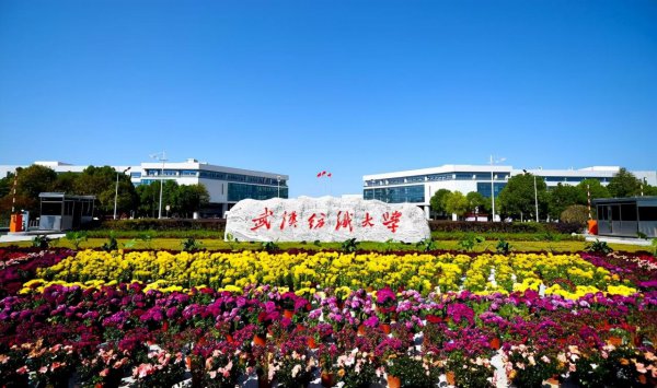 武汉纺织大学什么档次