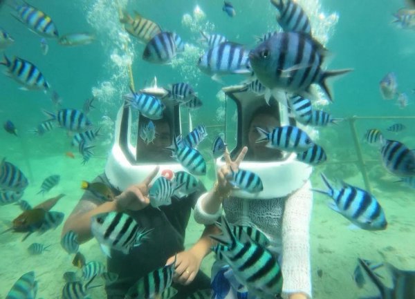 文莱面积和人口多少