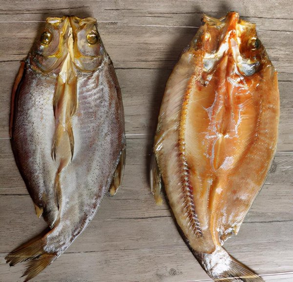 翘嘴鱼是什么鱼