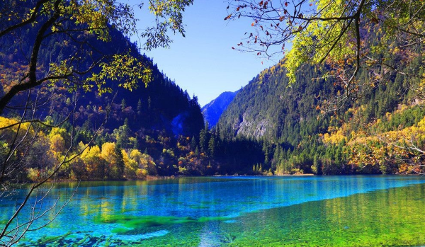 阿坝九寨沟在哪个省