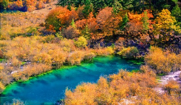 阿坝九寨沟在哪个省