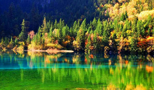 阿坝九寨沟在哪个省