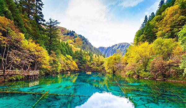 阿坝九寨沟在哪个省