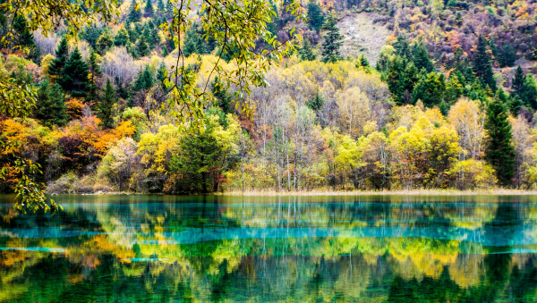 阿坝九寨沟在哪个省