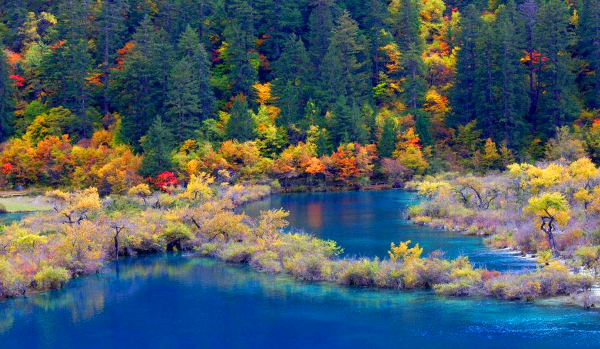 阿坝九寨沟在哪个省