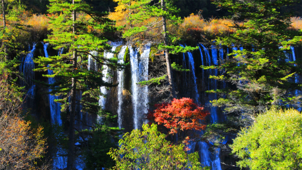 阿坝九寨沟在哪个省
