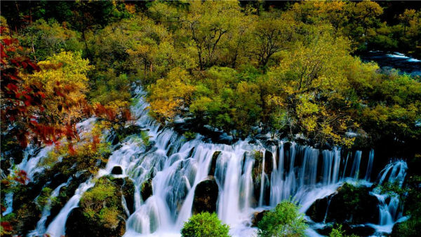 阿坝九寨沟在哪个省