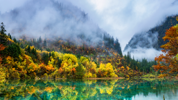阿坝九寨沟在哪个省
