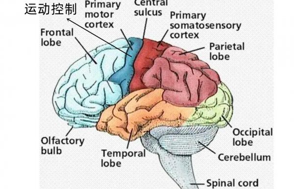 经常鬼压身的真实原因