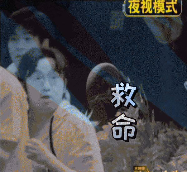 好看的综艺节目排行榜前十名