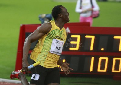 跑得最快的动物前十名 陆地上速度最快的十种动物